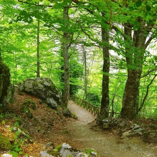 Nature trail on a sunny day